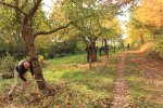 Arbeitseinsatz auf einer Streuobstwiese (Foto: S. Klingner)