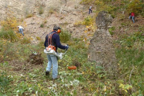 Entbuschung mit dem Freischneider (Foto: S. Heinz)